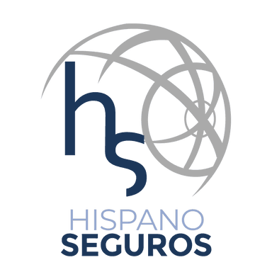 Hispanoseguros LLC